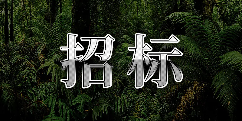 寧波梅東集裝箱碼頭有限公司智慧梅山能源管理系統(tǒng)(含智能巡檢建設(shè))項目一階段競爭性磋商公告