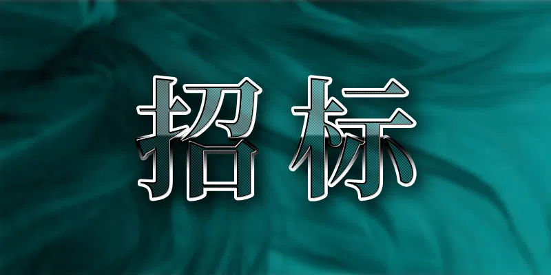 園區(qū)道路照明路燈巡查維護(hù)服務(wù)采購(gòu)邀請(qǐng)招標(biāo)公告