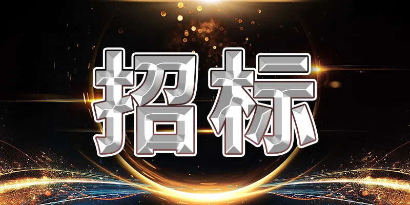 中國電信股份有限公司射陽分公司某信息化平臺建設項目(WJW)標段一