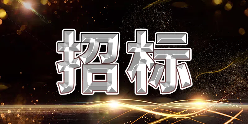 衛(wèi)輝市2024年第一批農(nóng)村公路省補養(yǎng)護項目(二次)競爭性談判公告