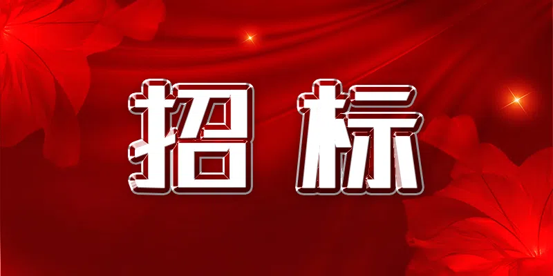 新能源公司部分場站3年(2024-2027年)風機定期維護服務項目招標公告