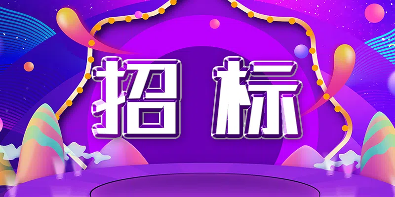 寧夏電投新能源有限公司2024年風(fēng)力發(fā)電機(jī)組及其附屬設(shè)備采購(gòu)項(xiàng)目