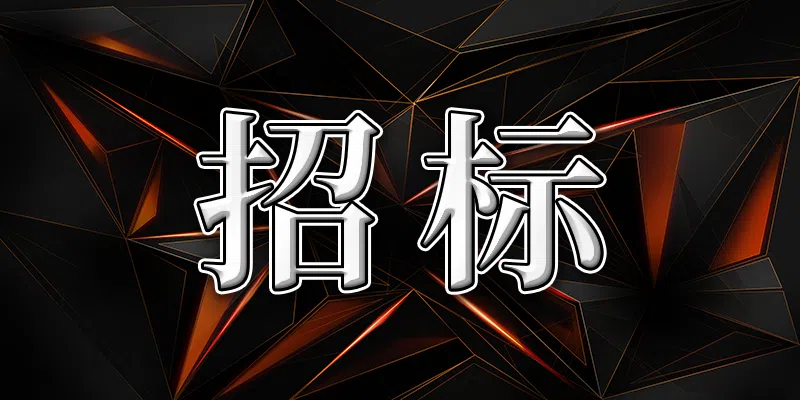 廣西、海南兩省空管工程竣工財務決算審核服務競爭性磋商公告