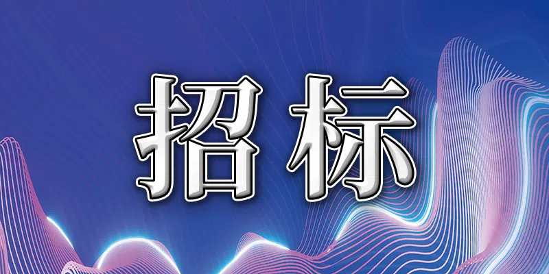 獅子洋通道項目質(zhì)檢及檔案管理系統(tǒng)采購招標公告