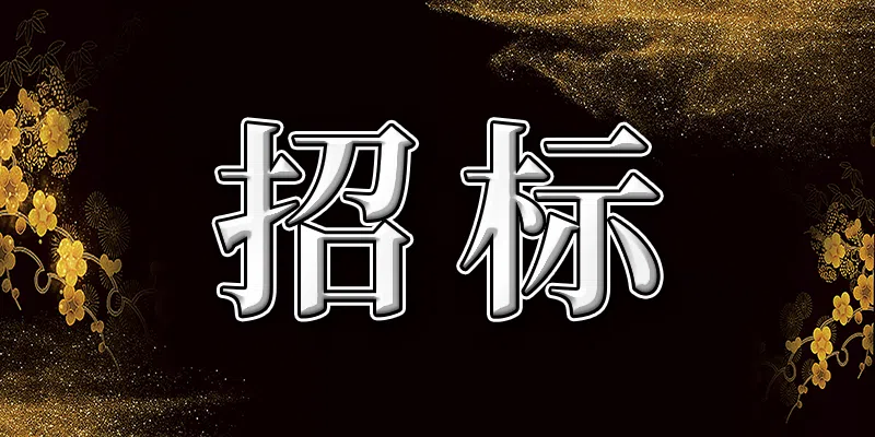 杭州蕭山國際機場停車場收費系統(tǒng)維保服務業(yè)務外包項目招標公告