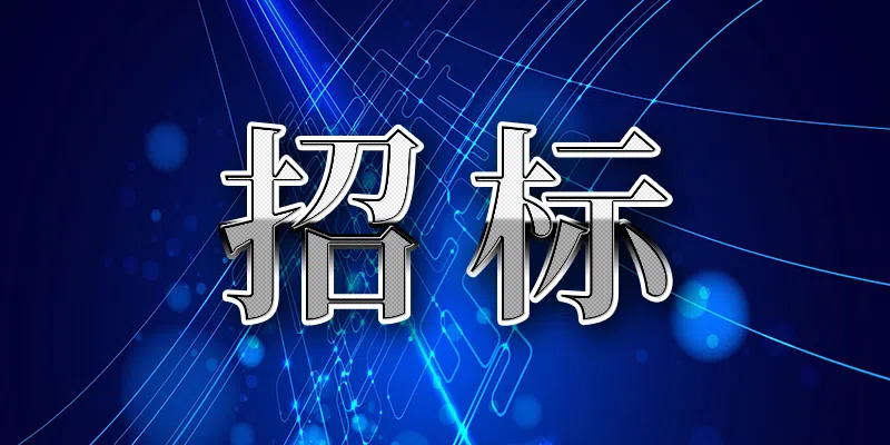 中國鐵塔股份有限公司徐州市分公司2024年兩翼業(yè)務技術支撐服務項目比選公告